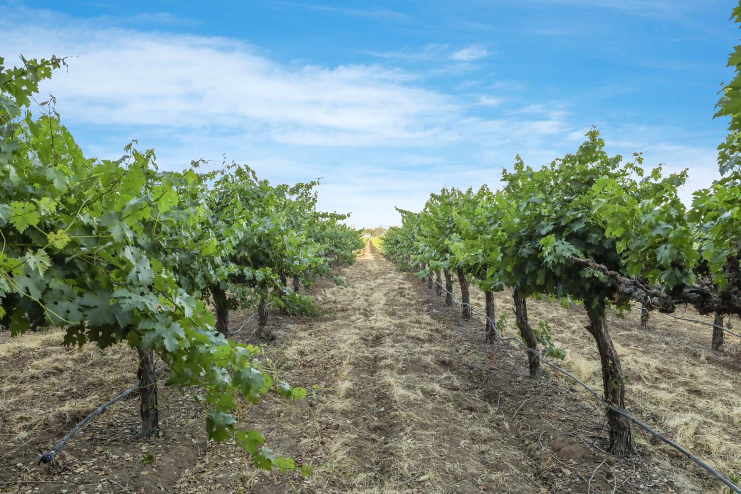 N Tretheway Road, Lockeford, California image 16