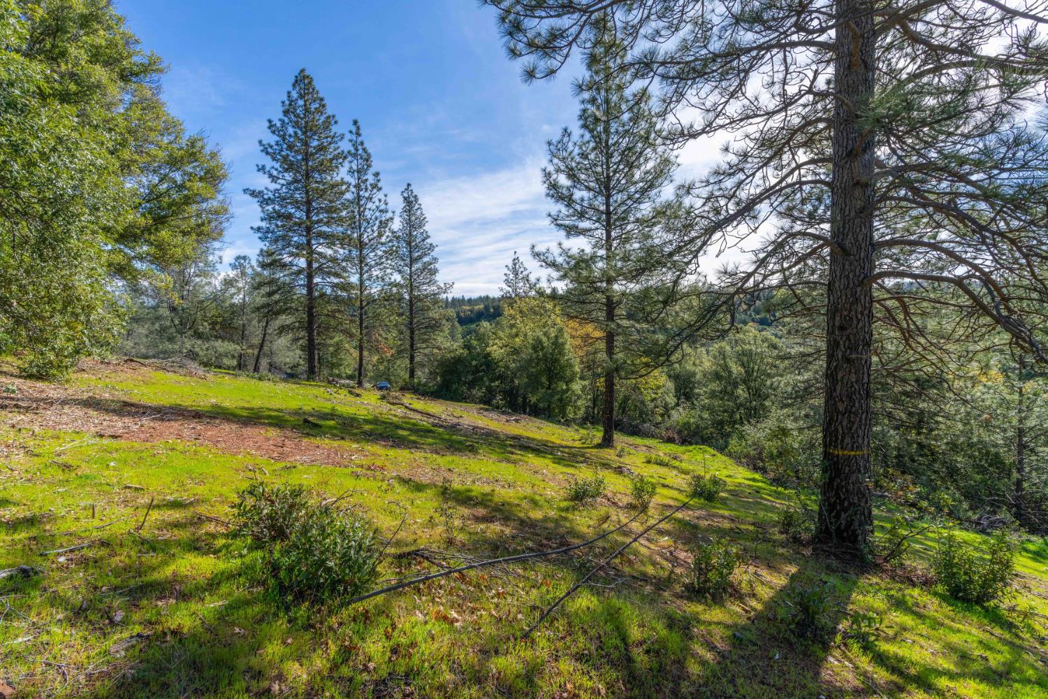 Petersen Ranch, Pine Grove, California image 16