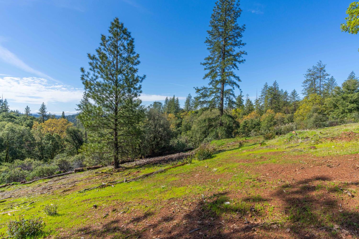 Petersen Ranch, Pine Grove, California image 14