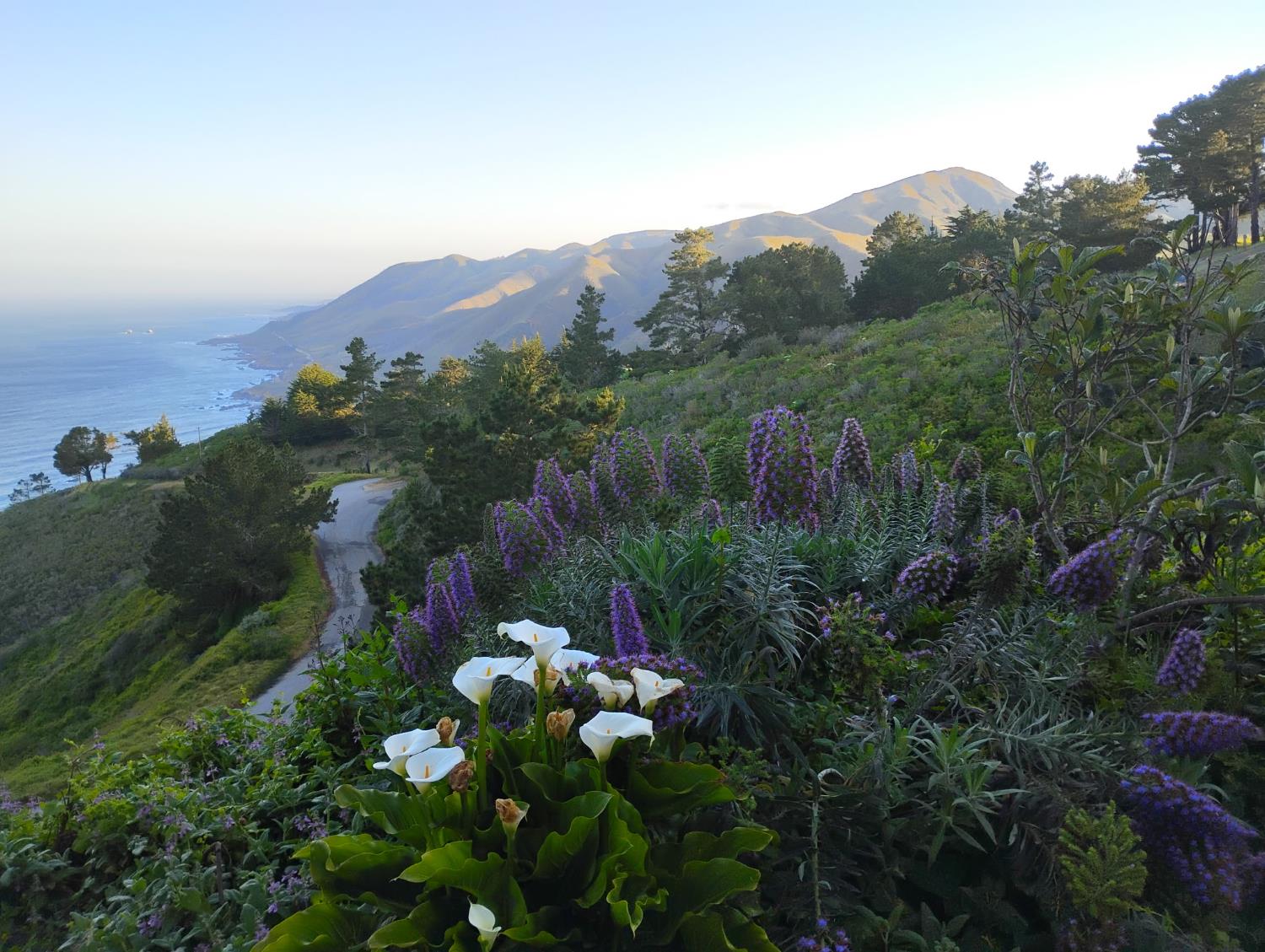 Weston Ridge Road, Carmel, California image 35