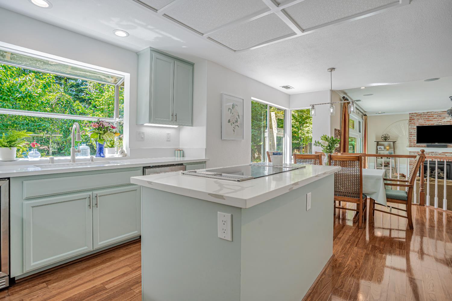 Brandywine Court, Granite Bay, California image 5