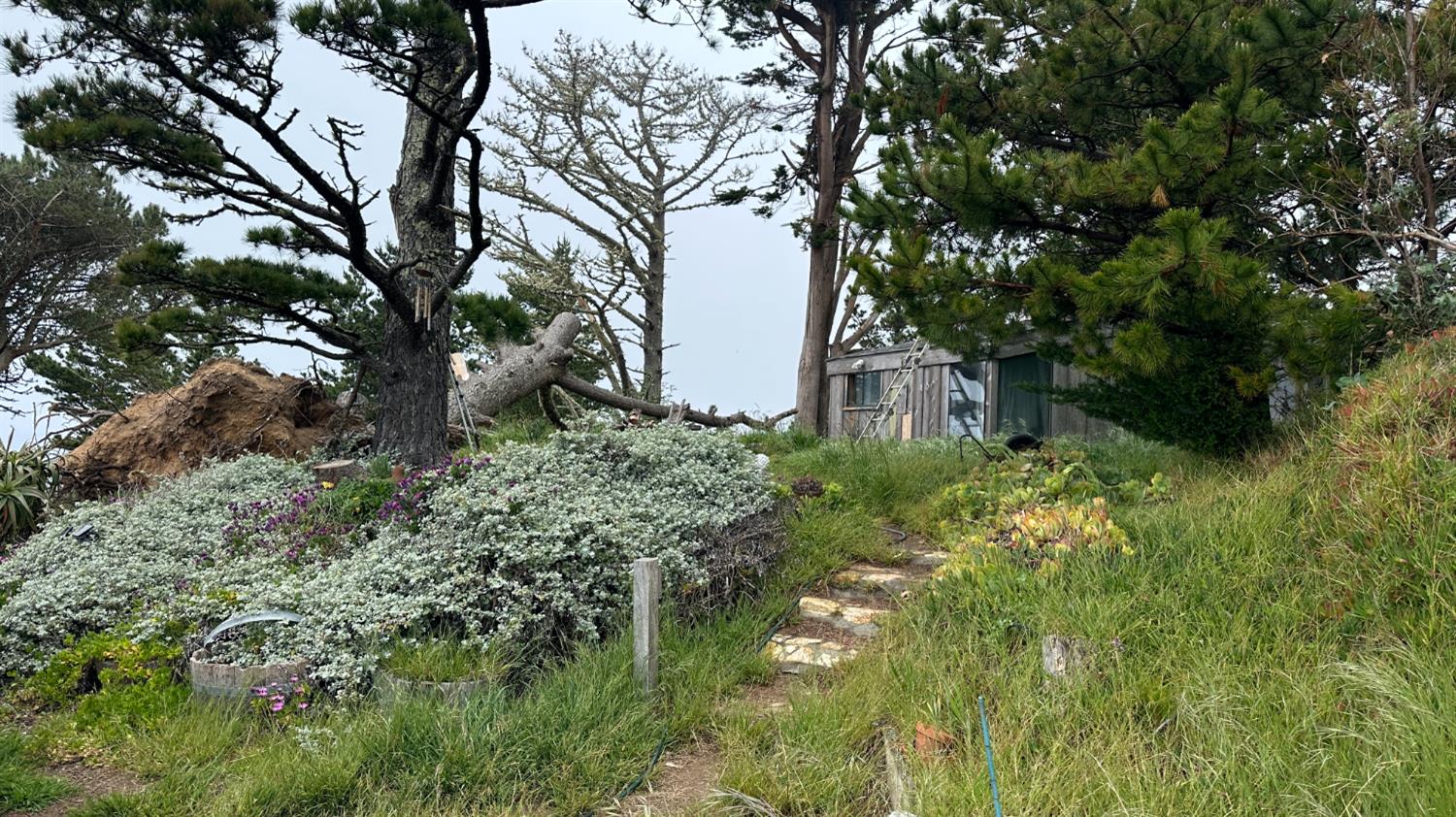 Weston Ridge Road, Carmel, California image 16