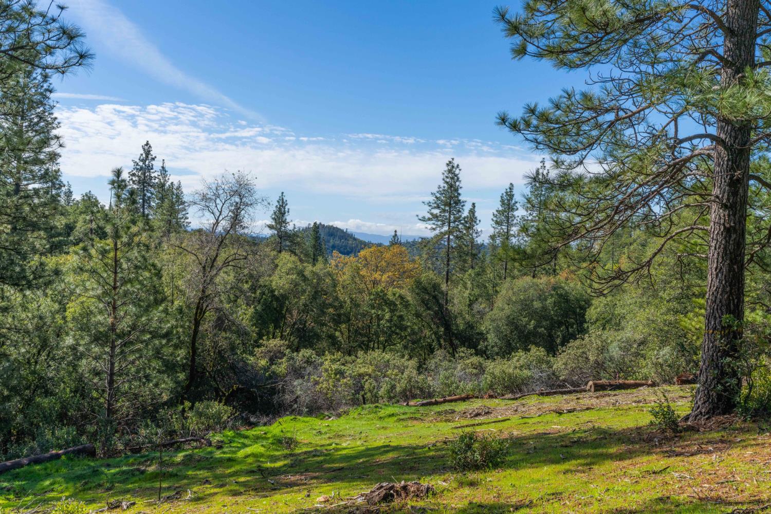 Petersen Ranch, Pine Grove, California image 12