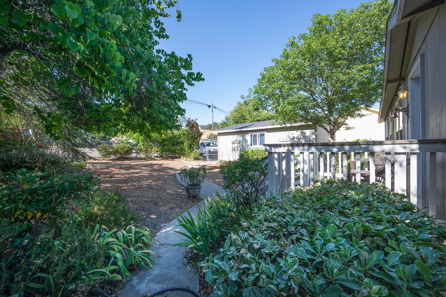 Lakeview Drive, Ione, California image 9