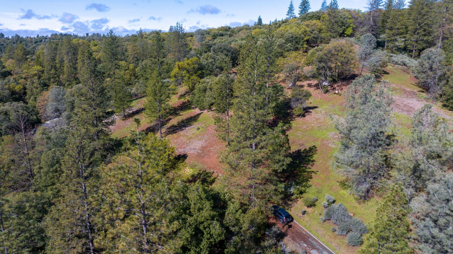 Petersen Ranch, Pine Grove, California image 28