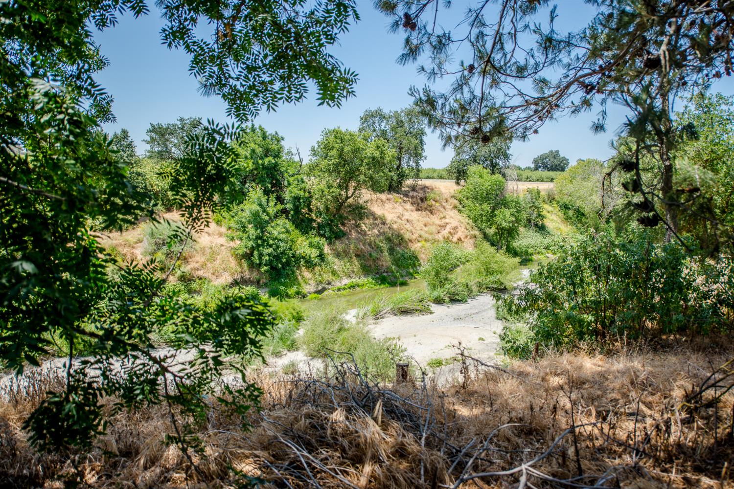 County Road 97a, Woodland, California image 50