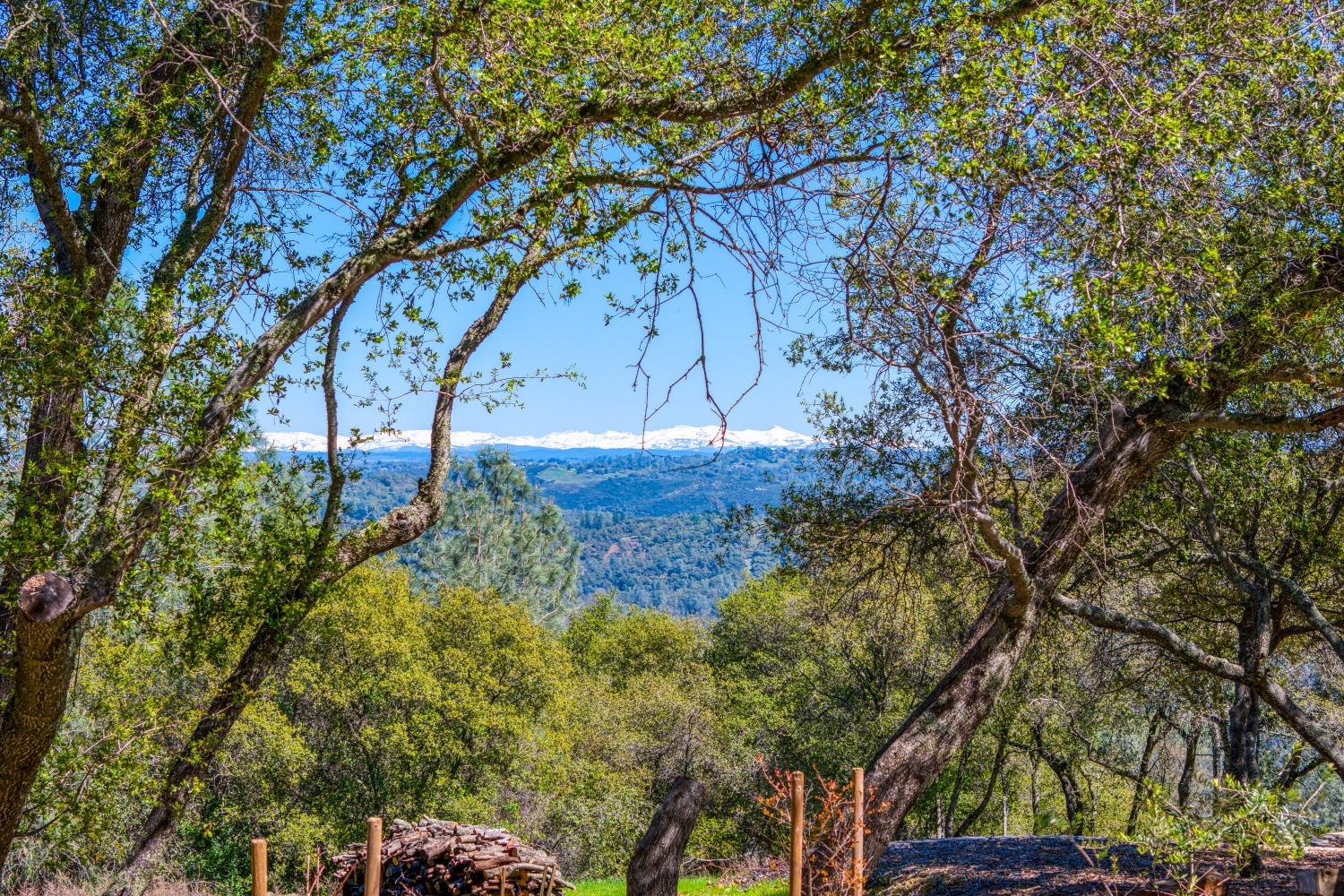 Coyote Pass Road, Shingle Springs, California image 18