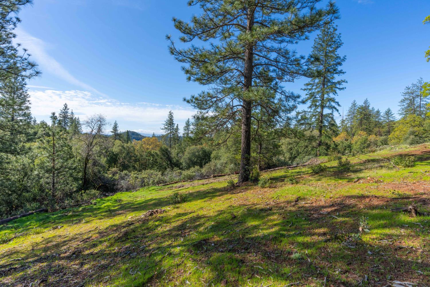 Petersen Ranch, Pine Grove, California image 13