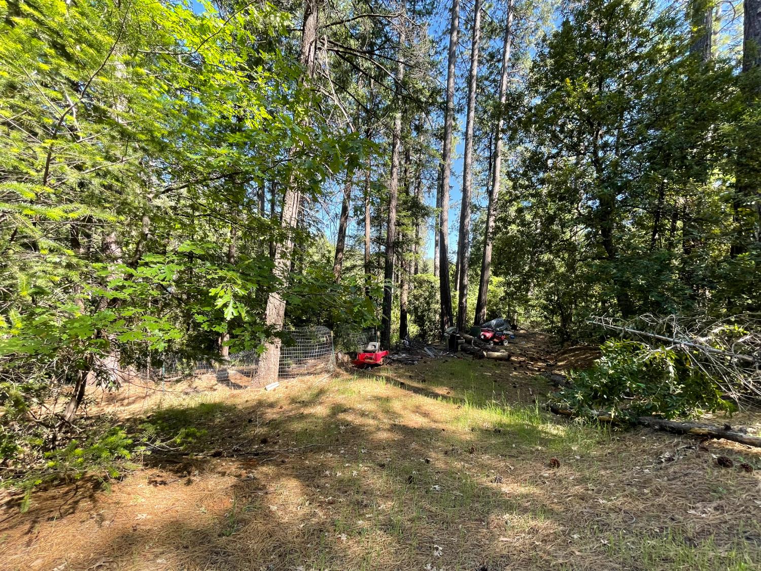 Hupp Coutolenc Rd, Magalia, California image 6