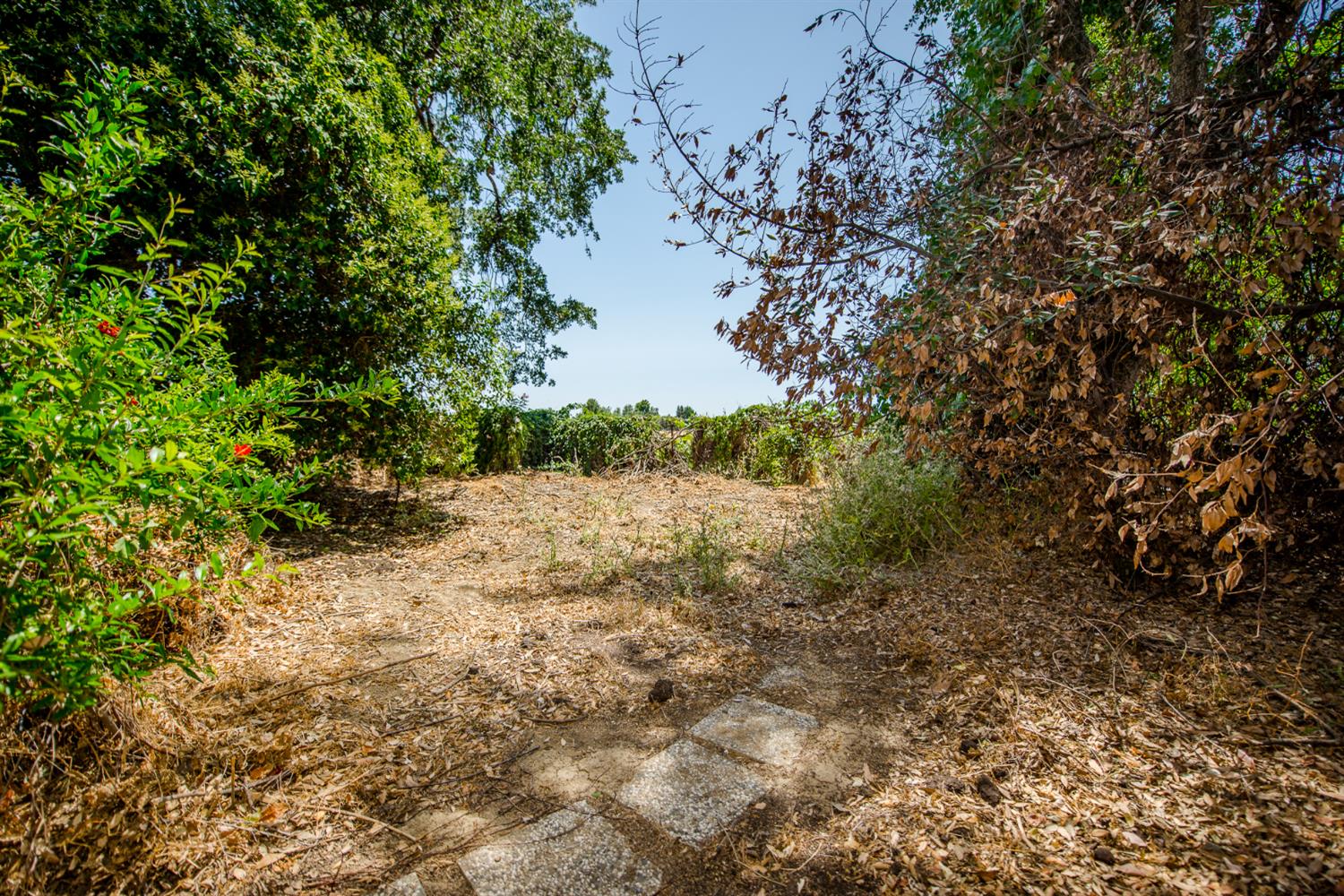County Road 97a, Woodland, California image 40