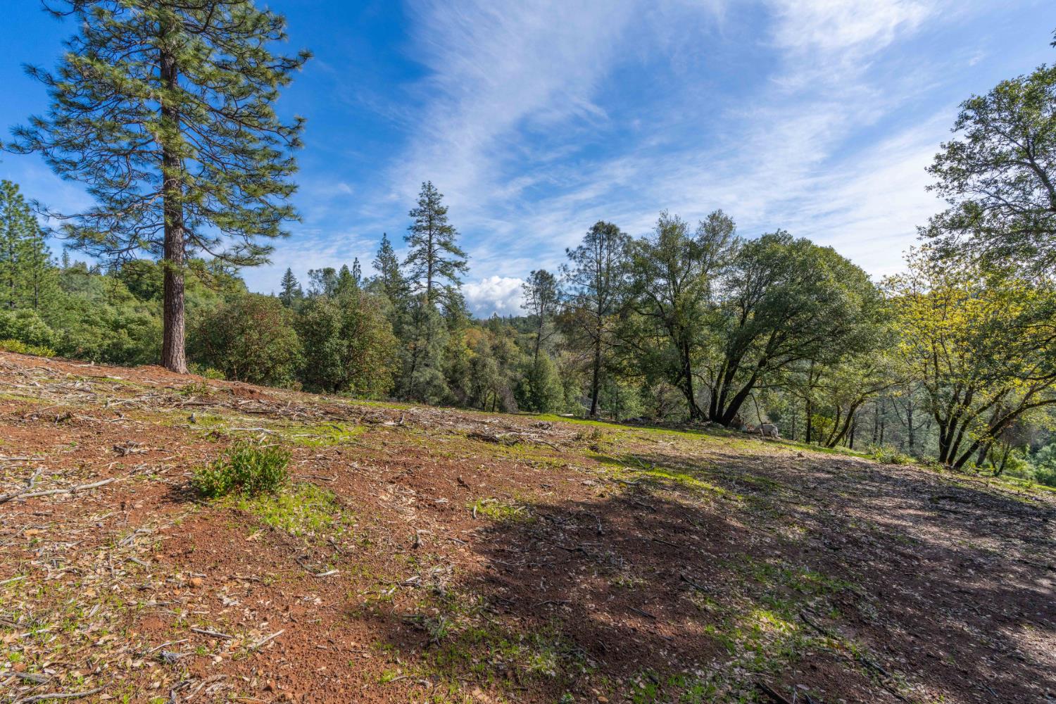 Petersen Ranch, Pine Grove, California image 9