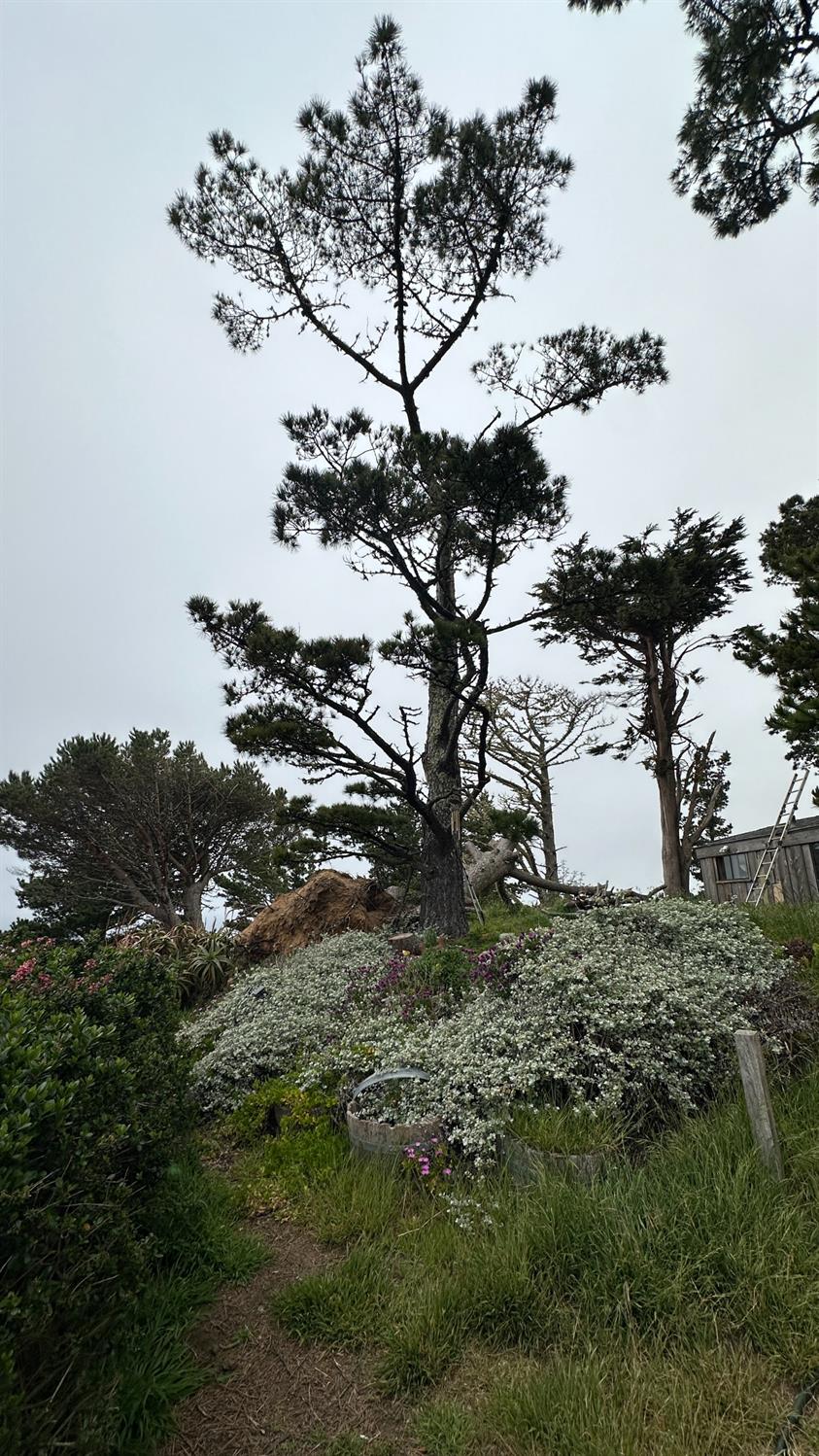 Weston Ridge Road, Carmel, California image 17