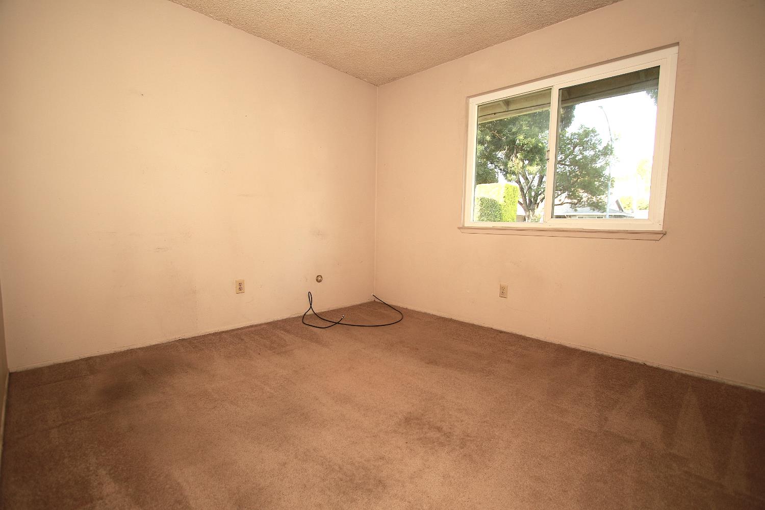 Blue Daisy Way, Modesto, California image 10