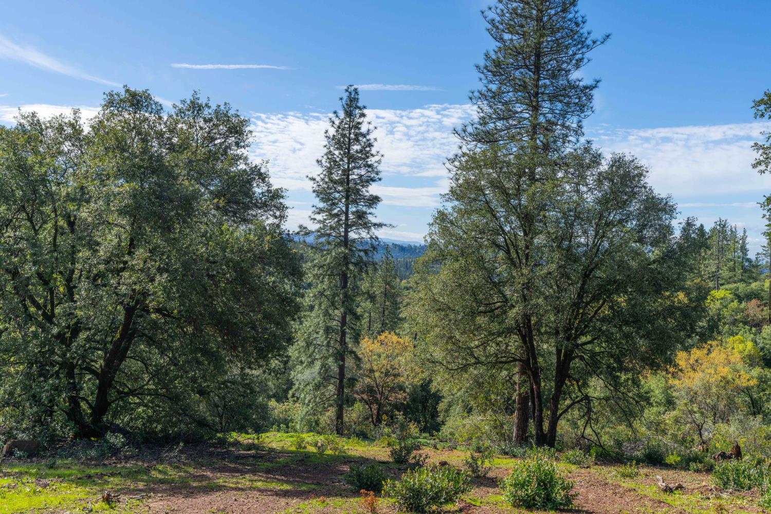 Petersen Ranch, Pine Grove, California image 10
