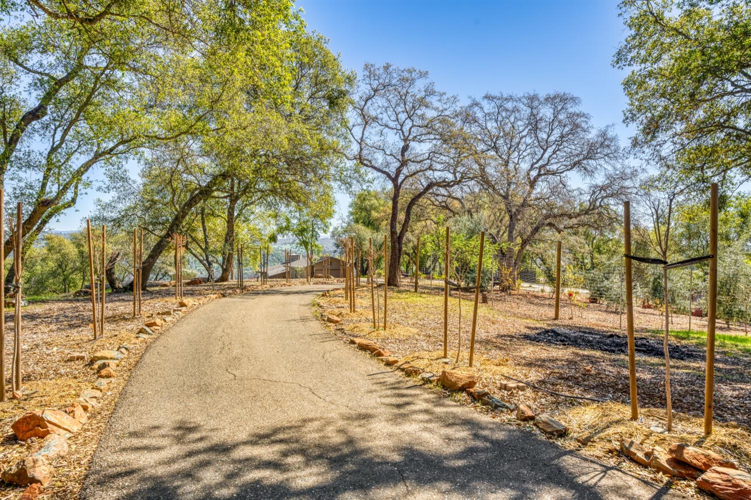 Coyote Pass Road, Shingle Springs, California image 41