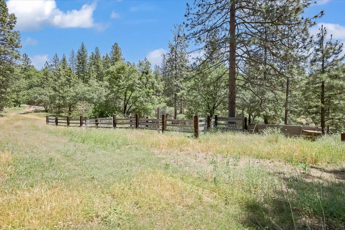 Detail Gallery Image 56 of 80 For 14818 Willow Glen Rd, Brownsville,  CA 95919 - – Beds | – Baths