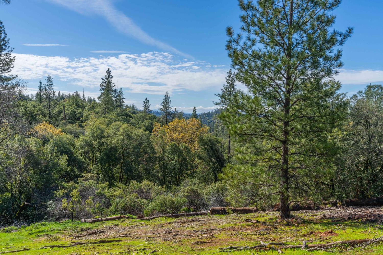 Petersen Ranch, Pine Grove, California image 15