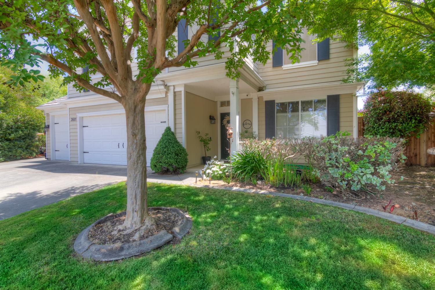 Bache Place, El Dorado Hills, California image 9