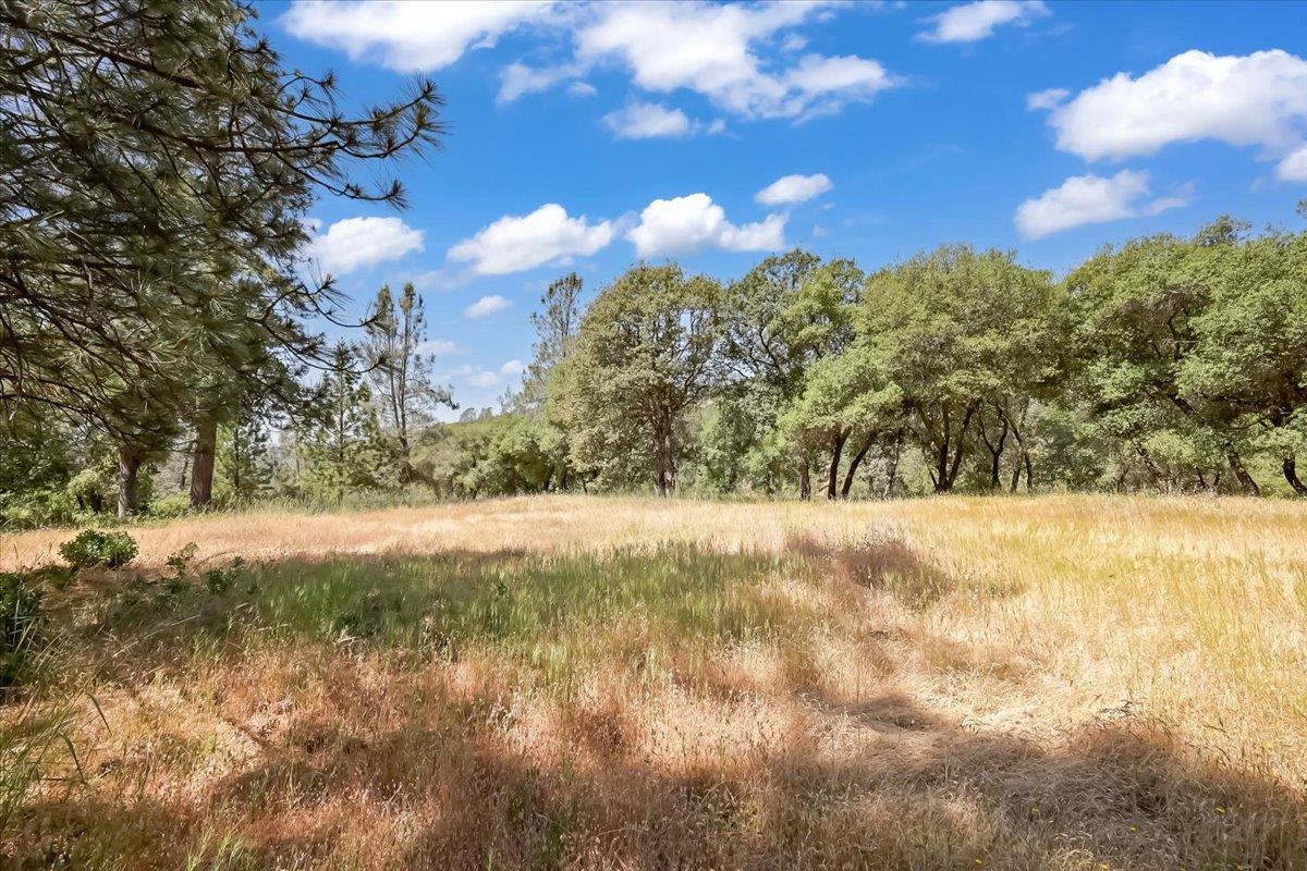 Detail Gallery Image 47 of 80 For 14818 Willow Glen Rd, Brownsville,  CA 95919 - – Beds | – Baths