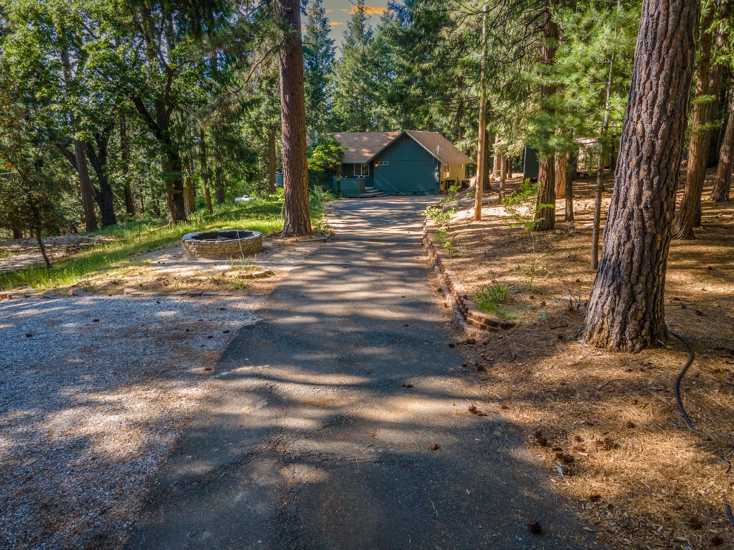 Blue Mountain Drive, Grizzly Flats, California image 22