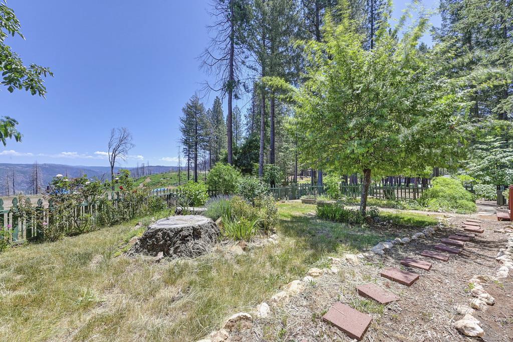 Volcanoville Road, Georgetown, California image 10