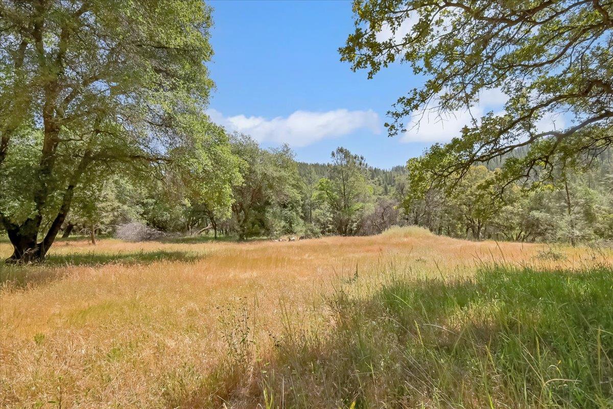 Detail Gallery Image 39 of 80 For 14818 Willow Glen Rd, Brownsville,  CA 95919 - – Beds | – Baths