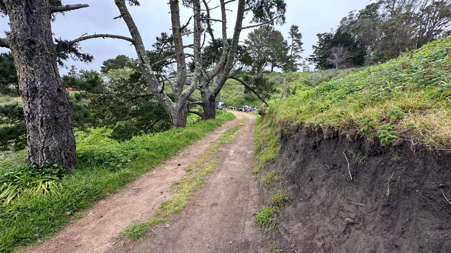 Weston Ridge Road, Carmel, California image 4