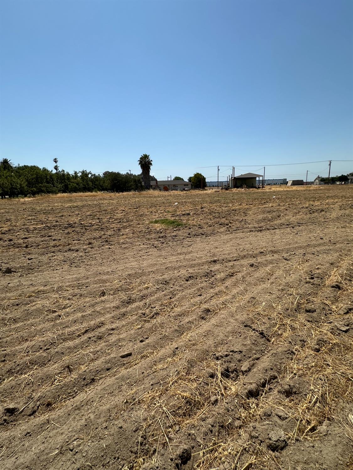 Polous, Turlock, California image 4