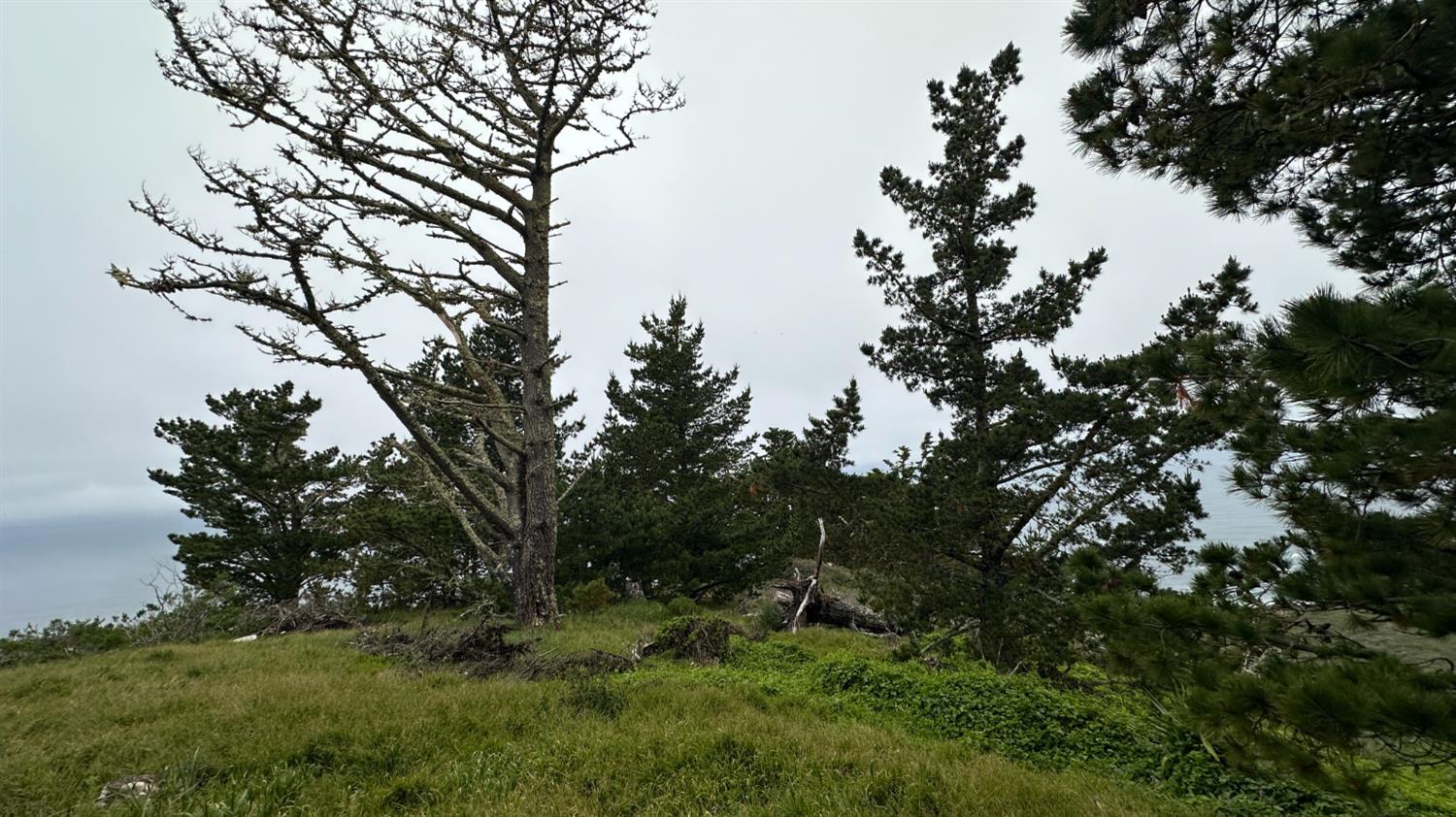 Weston Ridge Road, Carmel, California image 24