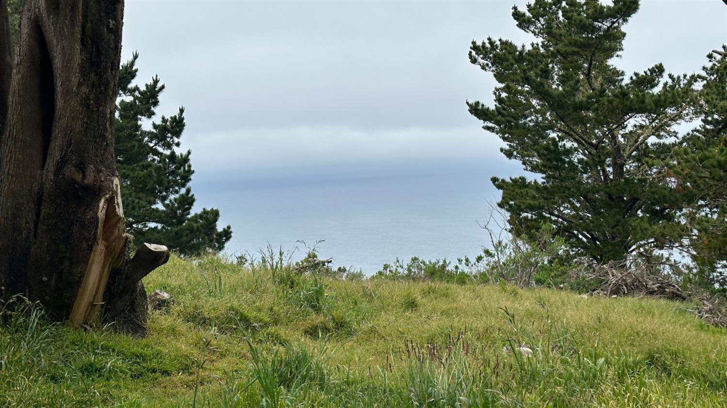 Weston Ridge Road, Carmel, California image 31