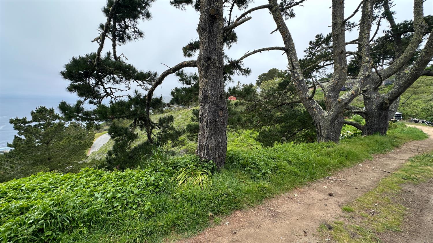 Weston Ridge Road, Carmel, California image 5