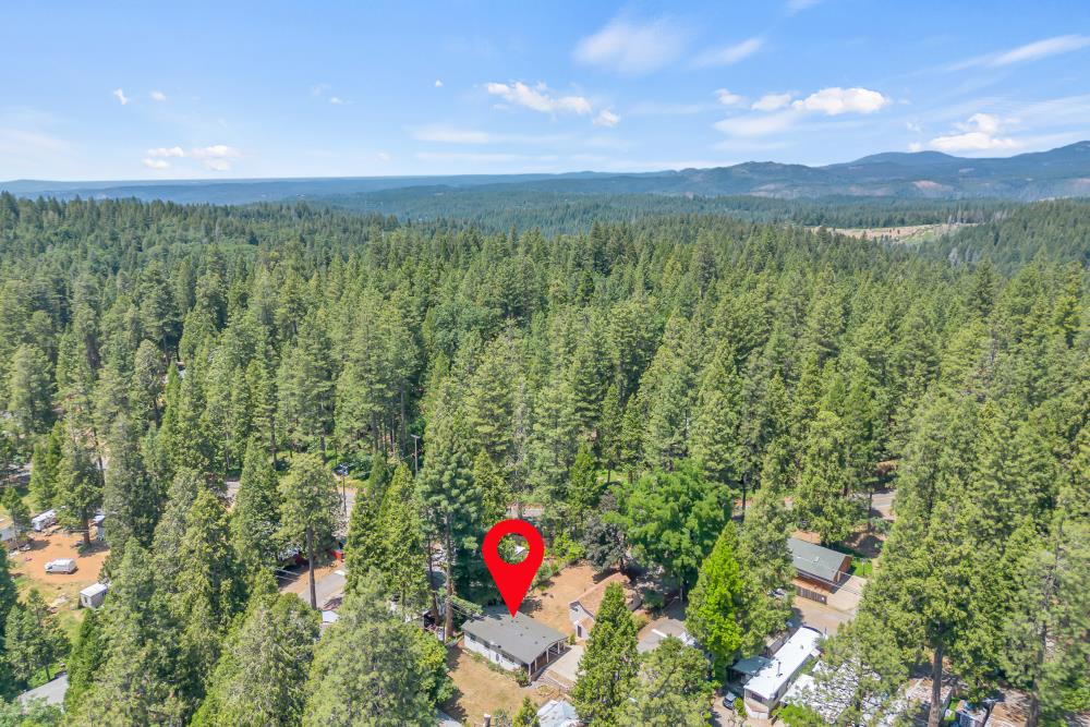 Detail Gallery Image 73 of 73 For 5172 Camp Snowline Rd, Camino,  CA 95709 - 4 Beds | 3 Baths