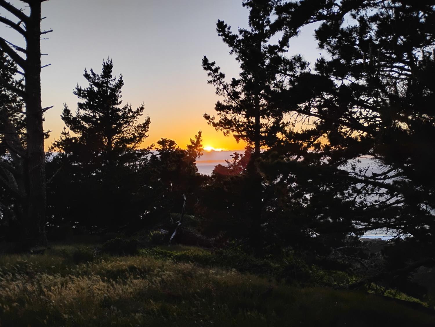 Weston Ridge Road, Carmel, California image 39
