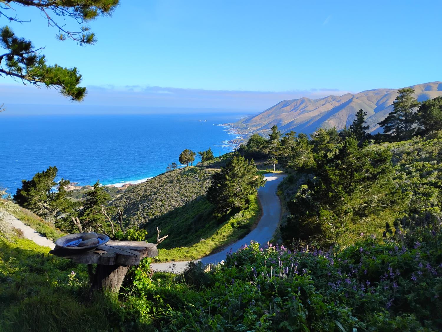 Weston Ridge Road, Carmel, California image 36