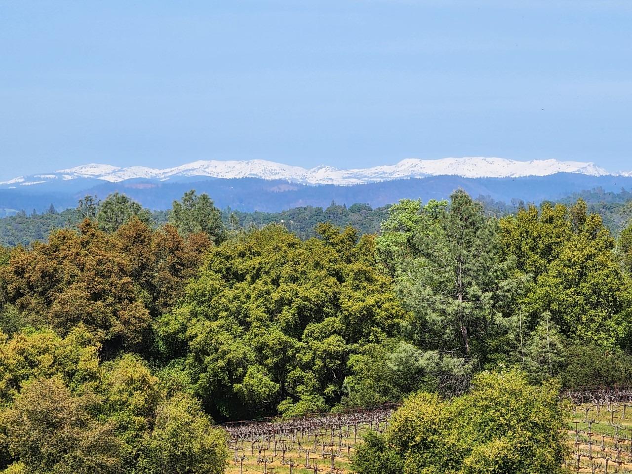 E Shenandoah Road, Plymouth, California image 13