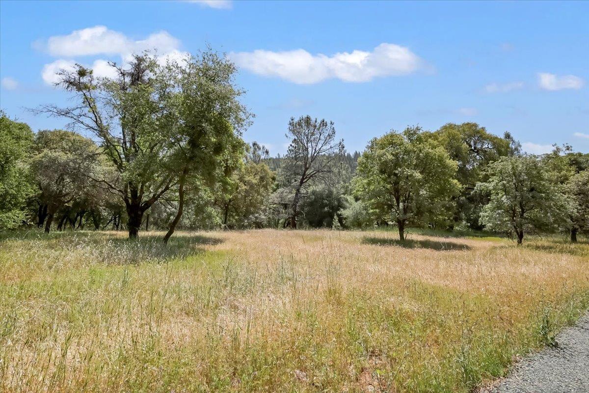 Detail Gallery Image 35 of 80 For 14818 Willow Glen Rd, Brownsville,  CA 95919 - – Beds | – Baths