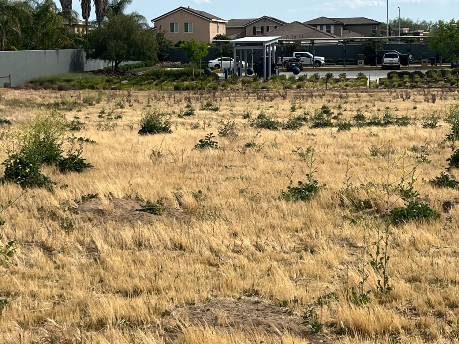 Wawona Street, Manteca, California image 18