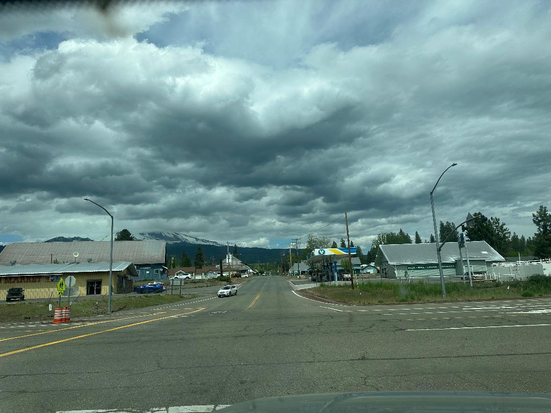 Widow Springs Drive, McCloud, California image 9