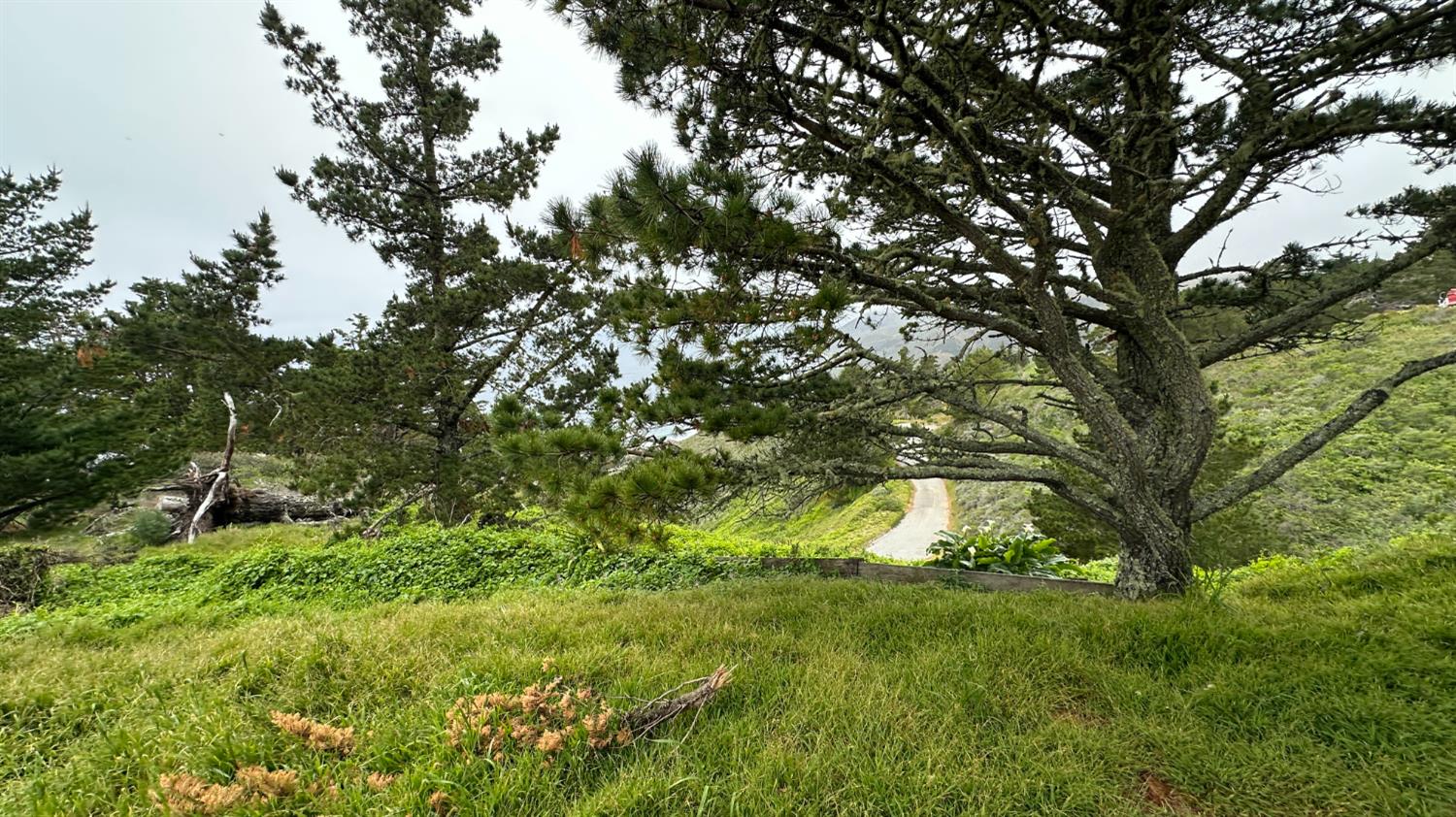 Weston Ridge Road, Carmel, California image 25