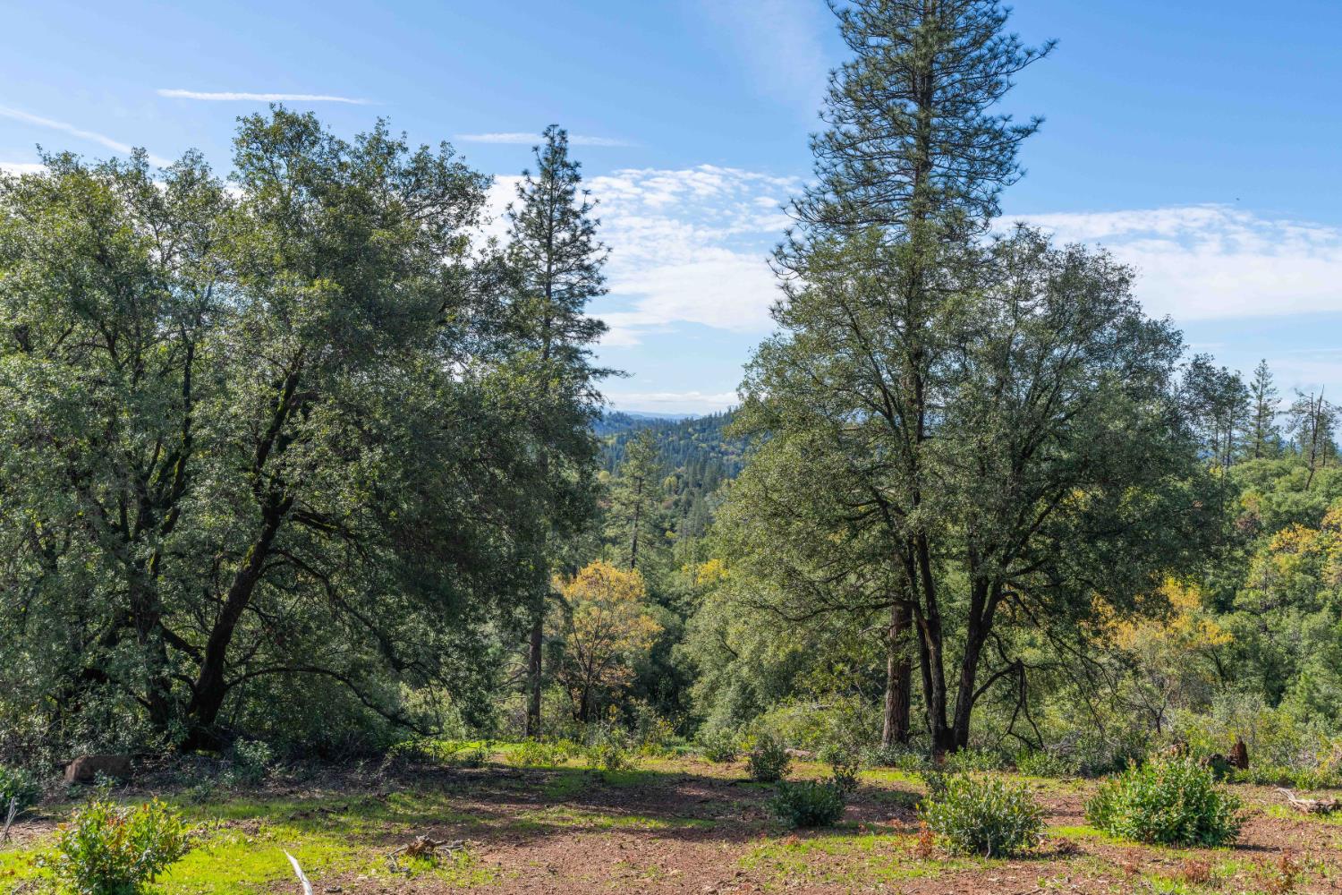 Petersen Ranch, Pine Grove, California image 11