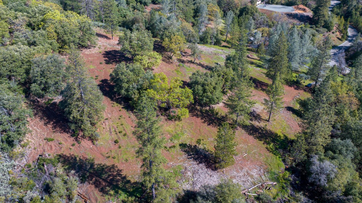 Petersen Ranch, Pine Grove, California image 29