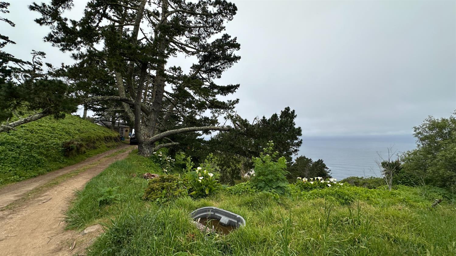 Weston Ridge Road, Carmel, California image 32