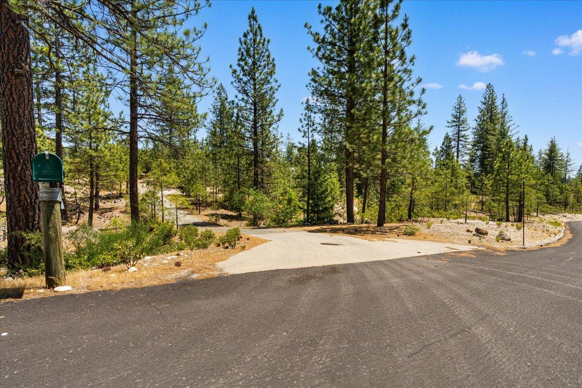 Sailor Flat Road, Nevada City, California image 31