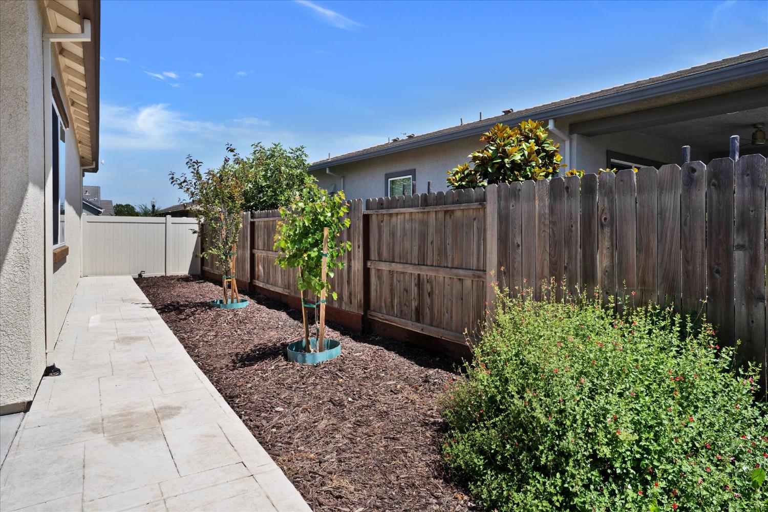 Ligurian Sea Lane, Sacramento, California image 23