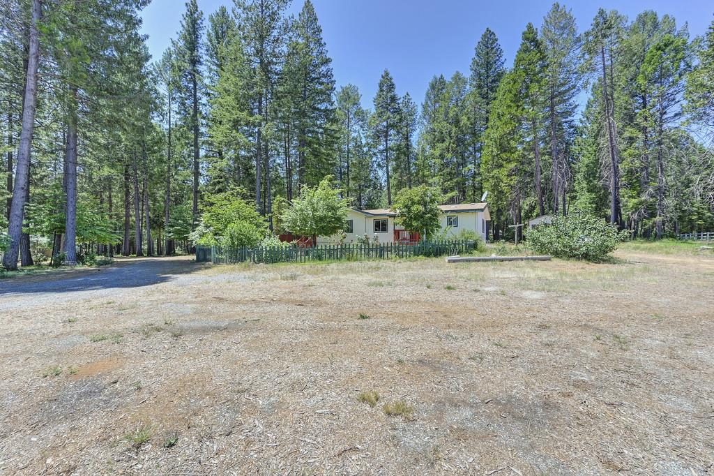 Volcanoville Road, Georgetown, California image 2