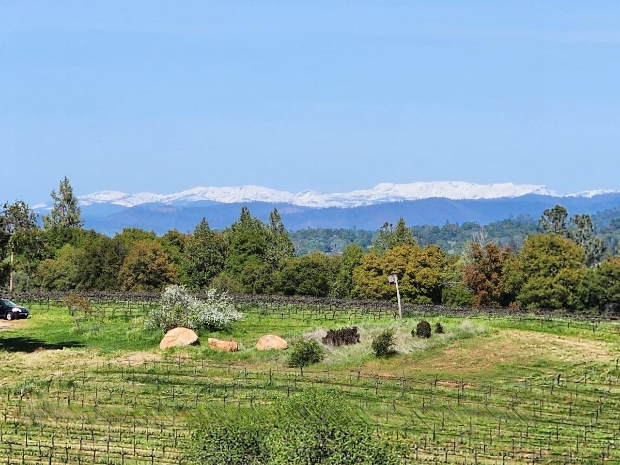 E Shenandoah Road, Plymouth, California image 2