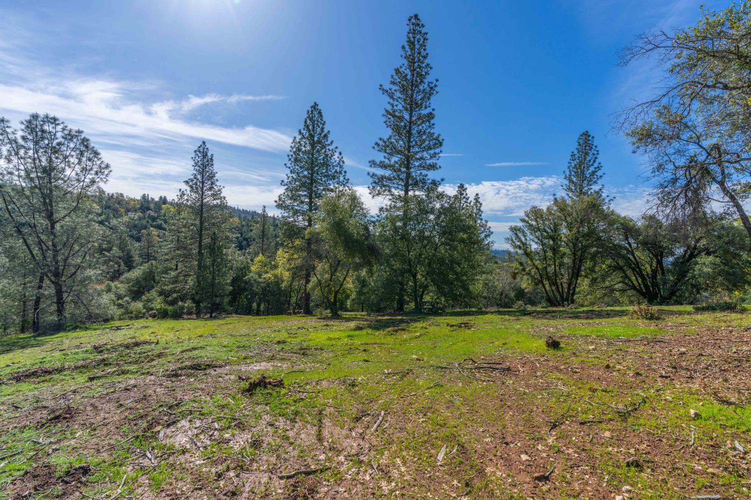 Petersen Ranch, Pine Grove, California image 6