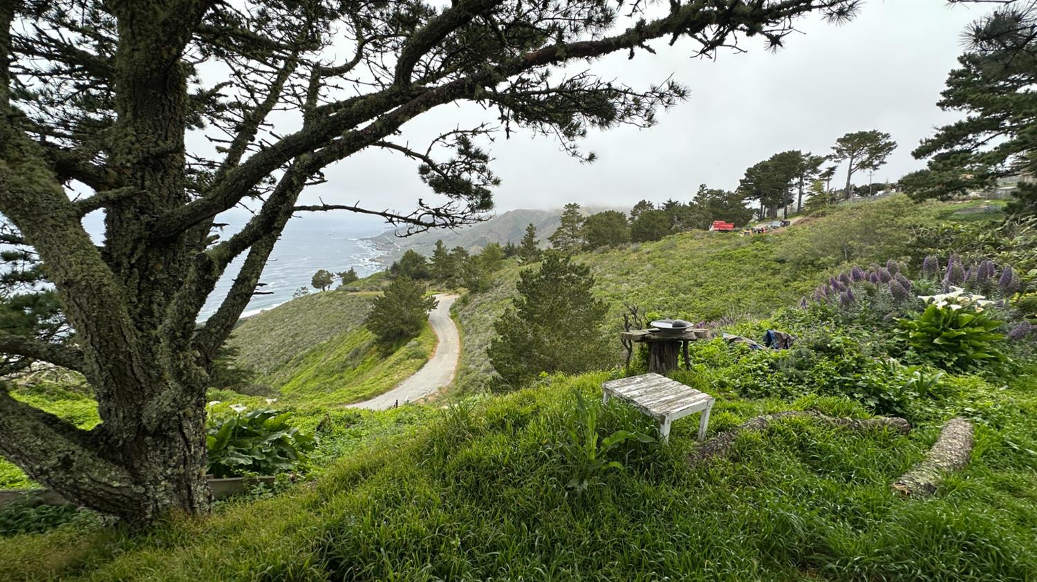 Weston Ridge Road, Carmel, California image 26