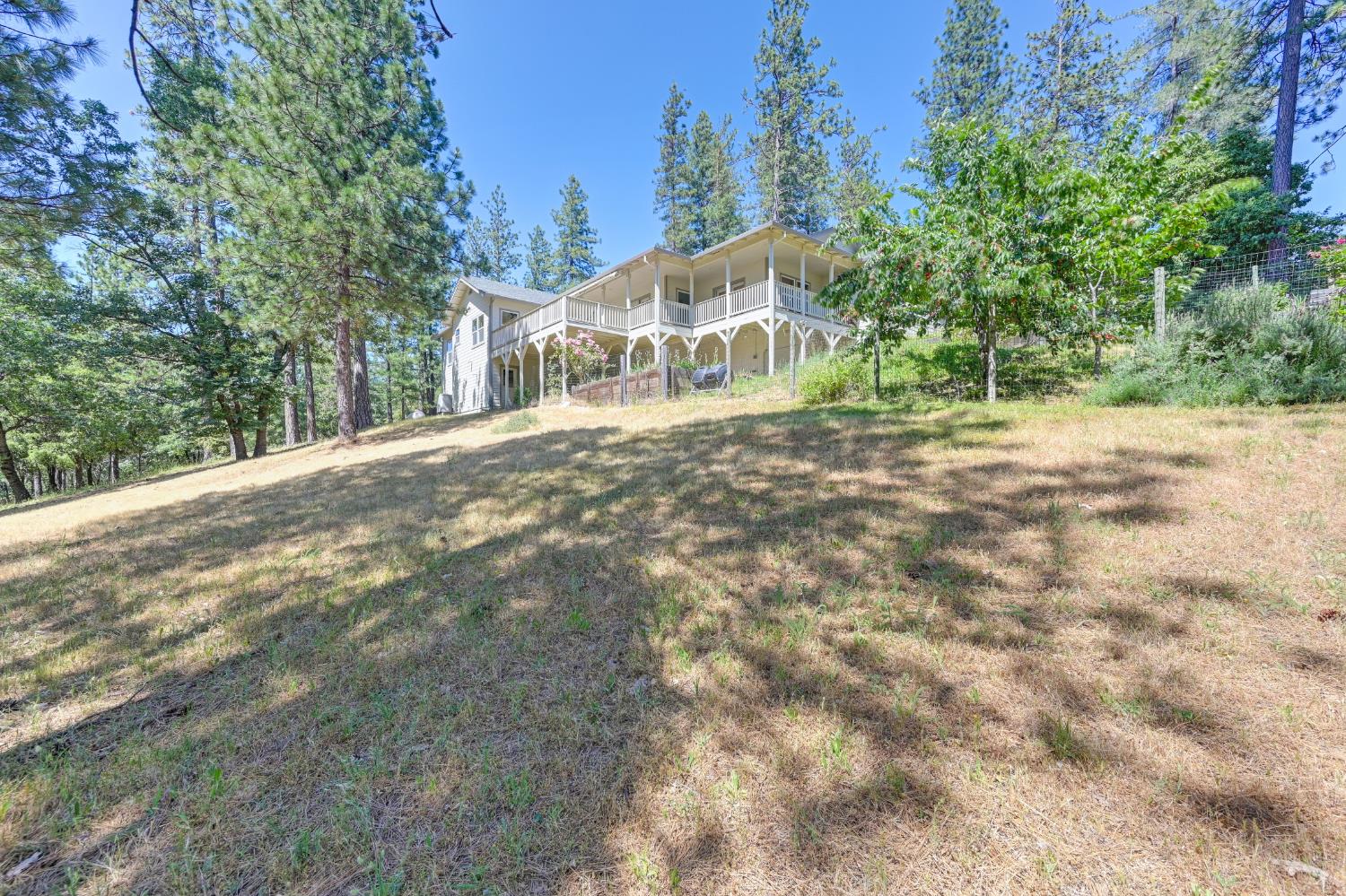 Alton Trail, Foresthill, California image 38