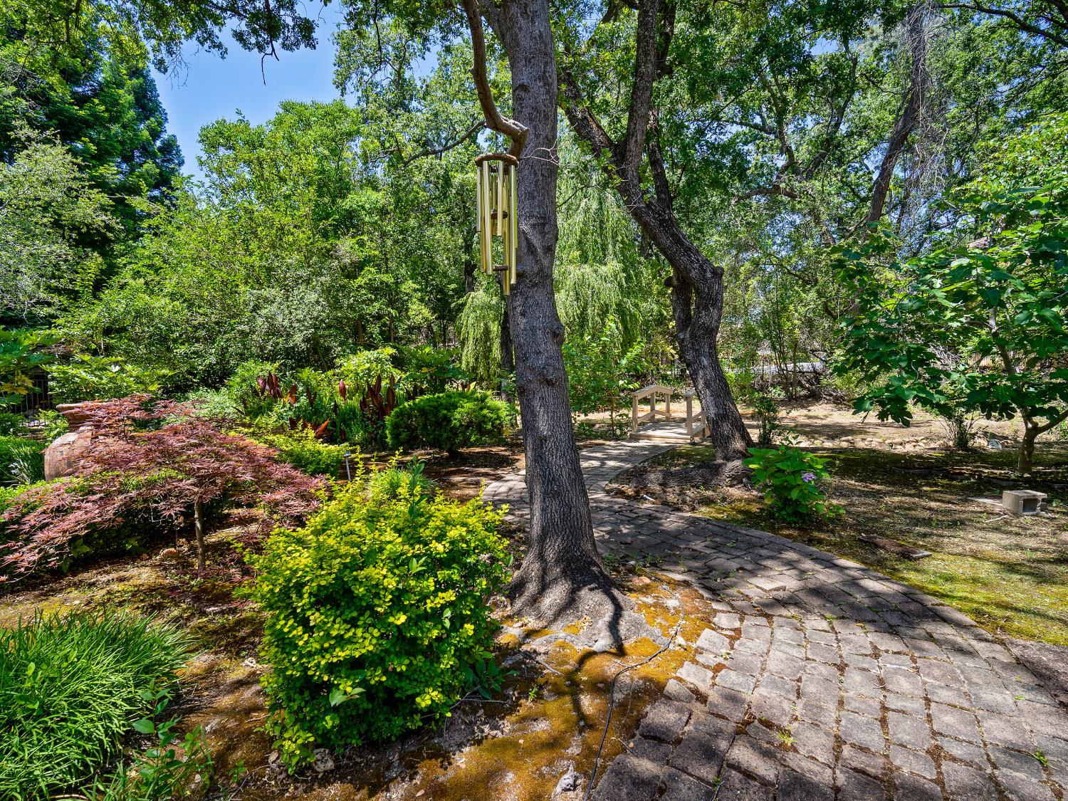 Feather Falls Circle, Folsom, California image 20